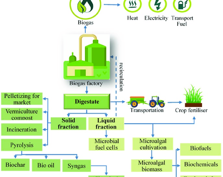 Digestate Management: Bio-Manure as a By-Product of CBG Plants